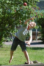 2007_MINIGAMES_04.jpg