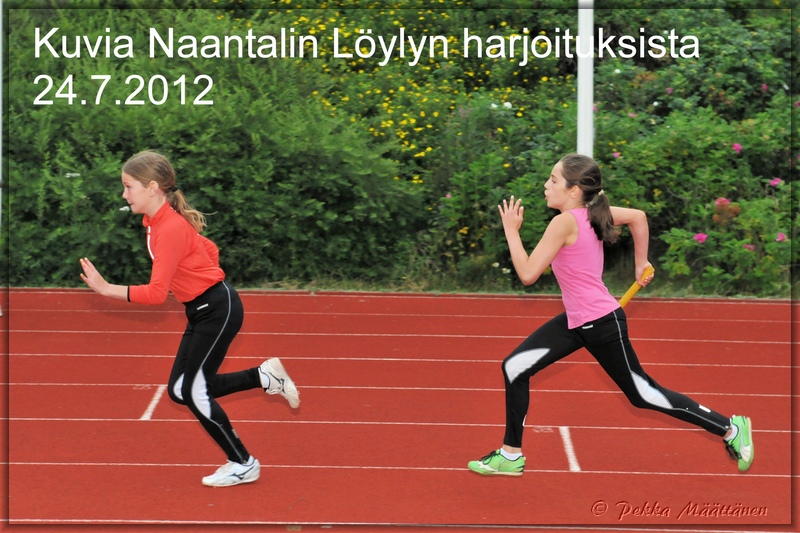 2012-07-24_HARKAT_Otsikkodia.jpg