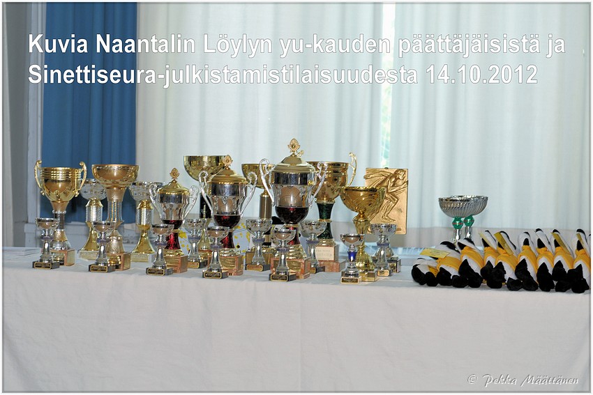 2012-10-14_Paattajaiset-otsikkodia.jpg
