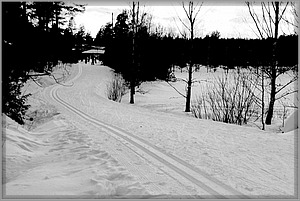 2013-02-26_Hiihtomestaruuskisat (24).JPG