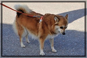 2013-05-02_Maastomestaruus (1).jpg