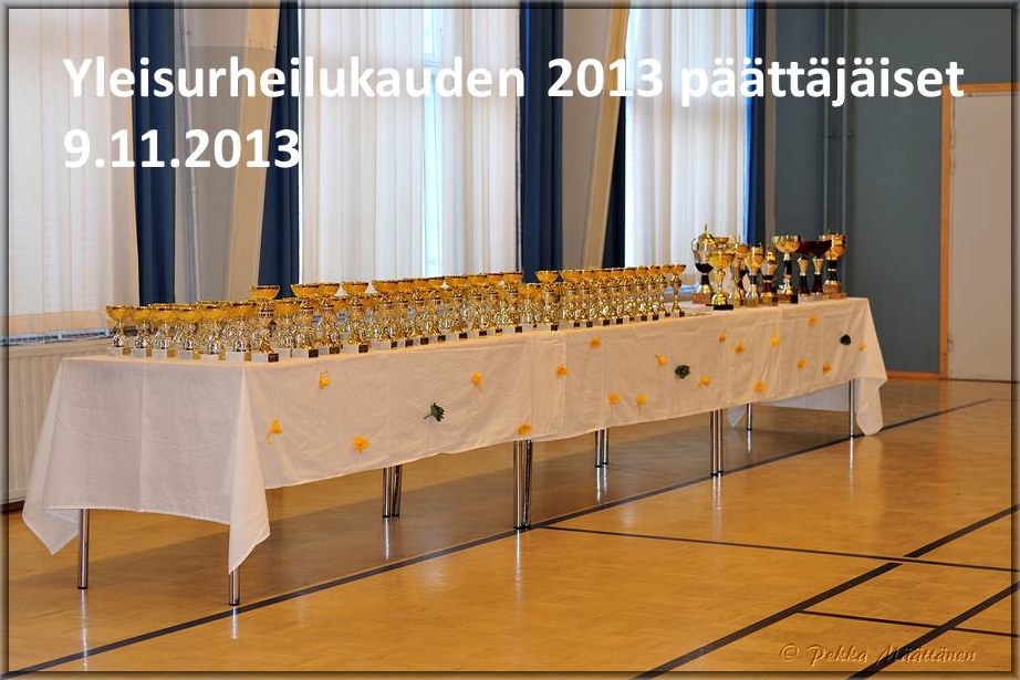 Otsikkodia_2013_paattajaiset.jpg