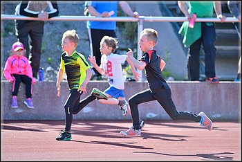 2015-05-28_Loylynmestaruus-I_ (20).jpg