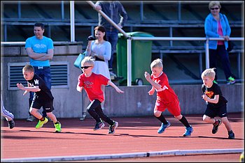 2015-05-28_Loylynmestaruus-I_ (24).jpg