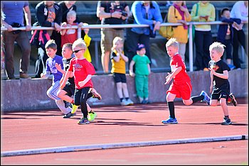 2015-05-28_Loylynmestaruus-I_ (28).jpg