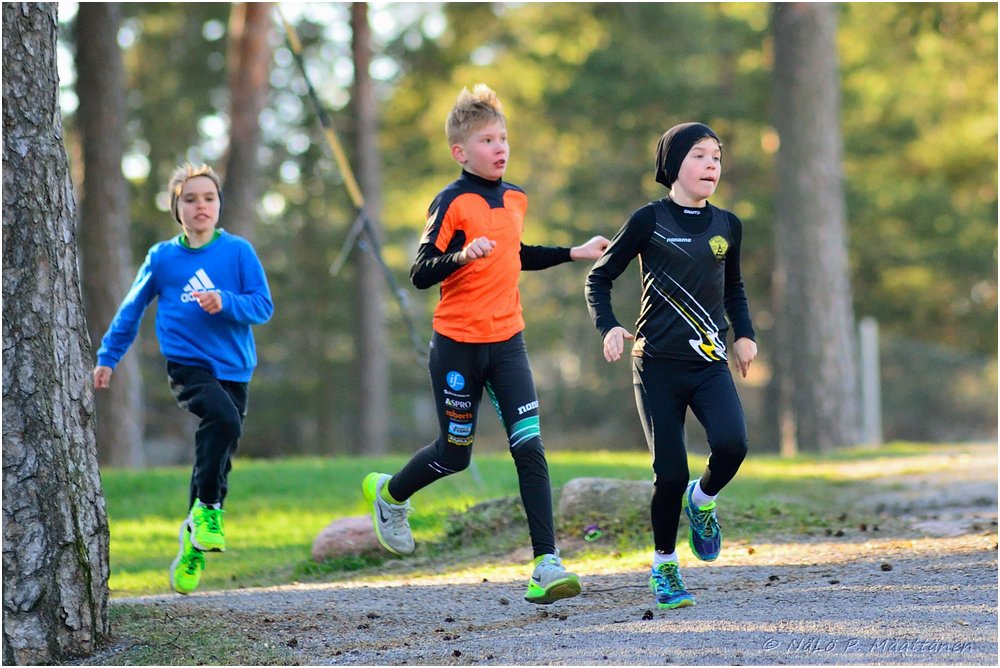 2015_Maastomestaruus (112).jpg