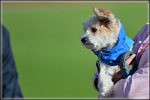 2015_Maastomestaruus (1).jpg