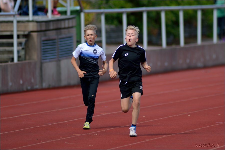 2017-07-22_Kuparivuoren_Kuninkaalliset-I (294).jpg