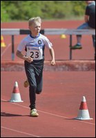 2017-07-23_Kuparivuoren_Kuninkaalliset-II (178).jpg