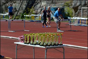 2017-07-23_Kuparivuoren_Kuninkaalliset-II (27).jpg