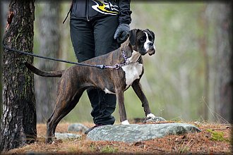 2017-04-02_Ulkokauden_Avajaiset (55).jpg